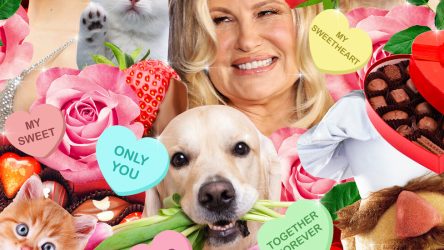 mening |  Rozen zijn rood, viooltjes zijn blauw, ChatGPT heeft een valentijn voor je gemaakt